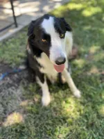 processed/3066222c-6bf3-45e4-b0a7-29cf9e27ca76/listing/e245f90d-cf7f-4715-a8e9-060a565a9db6/1c6fda73-3334-4d93-9cb3-a03399a60ede