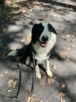 processed/3066222c-6bf3-45e4-b0a7-29cf9e27ca76/listing/e245f90d-cf7f-4715-a8e9-060a565a9db6/3c575596-f9ea-4fbd-9f3c-fa9235977248