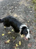 processed/3066222c-6bf3-45e4-b0a7-29cf9e27ca76/listing/e245f90d-cf7f-4715-a8e9-060a565a9db6/50ae01d4-a725-489d-857b-136798db1289