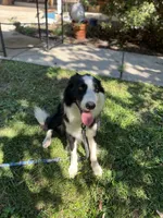 processed/3066222c-6bf3-45e4-b0a7-29cf9e27ca76/listing/e245f90d-cf7f-4715-a8e9-060a565a9db6/d2f2dca2-5461-41ef-a16c-c3adabcd3a1d