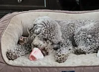 processed/306871c7-bcbf-4635-b6f7-2aa80ea57606/facility/5edecf91-fb8a-4b13-b515-0d5388b1fb6d