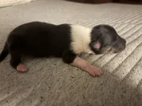 processed/30764bd8-c256-44f2-9800-2560edbe8c1a/listing/203069fd-9e82-43d2-9384-1d74a4befdf1/38e4f129-686b-44da-8848-0bc771f1bd57