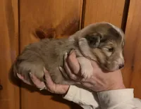 processed/30764bd8-c256-44f2-9800-2560edbe8c1a/listing/93093433-784f-46cb-a6cd-c39a14d88639/3edf8d39-162c-412c-a024-e6b6655d3a7e