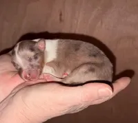 processed/30764bd8-c256-44f2-9800-2560edbe8c1a/listing/93093433-784f-46cb-a6cd-c39a14d88639/a6a9fc92-c744-418a-8dbf-73a95c882878