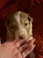 processed/30764bd8-c256-44f2-9800-2560edbe8c1a/listing/b52637ee-5cee-45bc-bbb0-9c54e8b85fc8/352feebd-244d-40d1-a19b-754a0b7c1dea