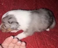 processed/30764bd8-c256-44f2-9800-2560edbe8c1a/listing/b52637ee-5cee-45bc-bbb0-9c54e8b85fc8/3f9d1b01-1858-4534-b862-ca53bb345b00