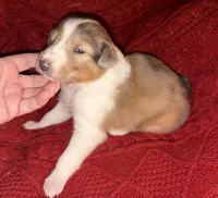 processed/30764bd8-c256-44f2-9800-2560edbe8c1a/listing/b52637ee-5cee-45bc-bbb0-9c54e8b85fc8/81cb40cd-aaf6-42fd-837f-60d6cabd1522