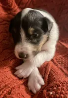 processed/30764bd8-c256-44f2-9800-2560edbe8c1a/listing/bf6c3f8f-0728-4879-9fa1-af502fa7b961/94dea7b1-6b39-4901-8a9f-73fa92e0a494