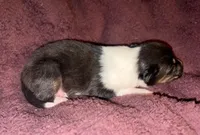 processed/30764bd8-c256-44f2-9800-2560edbe8c1a/listing/bf6c3f8f-0728-4879-9fa1-af502fa7b961/e487b6cc-fb38-42d6-96ad-d54d85c91962