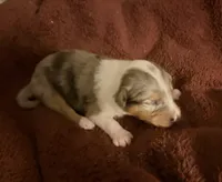 processed/30764bd8-c256-44f2-9800-2560edbe8c1a/listing/c1d7ed45-2854-4604-9bd0-ca562c7aad3c/26cf15fa-f84d-4cc4-868b-61d217a01bd1