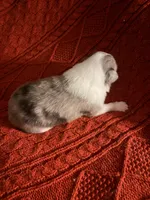 processed/30764bd8-c256-44f2-9800-2560edbe8c1a/listing/c1d7ed45-2854-4604-9bd0-ca562c7aad3c/7299b856-da75-49d9-8e18-5f088755cfc8