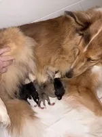 processed/30764bd8-c256-44f2-9800-2560edbe8c1a/listing/e5d1ca4b-42cd-4115-8b48-cc0ce32cfb89/5d5ed193-c514-4707-b823-d2987fc6ef3f