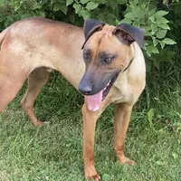 processed/307b7592-3b97-4b17-9f47-60993d6c32fd/facility/02168e93-f453-48d9-af0a-256860d6340a