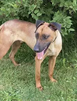 processed/307b7592-3b97-4b17-9f47-60993d6c32fd/facility/02168e93-f453-48d9-af0a-256860d6340a