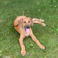 processed/307b7592-3b97-4b17-9f47-60993d6c32fd/facility/215d7955-89e1-47ef-b7f1-81a80ce2f767