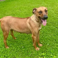 processed/307b7592-3b97-4b17-9f47-60993d6c32fd/facility/461756c1-02b1-4c3d-8892-9ade5f0917a9