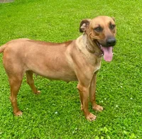 processed/307b7592-3b97-4b17-9f47-60993d6c32fd/facility/461756c1-02b1-4c3d-8892-9ade5f0917a9