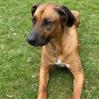 processed/307b7592-3b97-4b17-9f47-60993d6c32fd/facility/705e98d9-91d0-4e4e-8875-5df50b0d1dfc