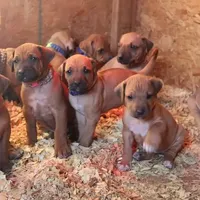 processed/307b7592-3b97-4b17-9f47-60993d6c32fd/facility/70fc60f4-6e56-4f69-8202-a2a2cf30c59e