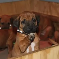 processed/307b7592-3b97-4b17-9f47-60993d6c32fd/facility/a25e48d1-6051-4a3c-99af-6126287d9db1