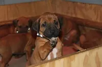 processed/307b7592-3b97-4b17-9f47-60993d6c32fd/facility/a25e48d1-6051-4a3c-99af-6126287d9db1