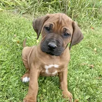 processed/307b7592-3b97-4b17-9f47-60993d6c32fd/facility/acb61dfd-b554-40cf-8c7f-3b1f741cd846