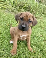 processed/307b7592-3b97-4b17-9f47-60993d6c32fd/facility/acb61dfd-b554-40cf-8c7f-3b1f741cd846