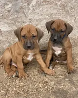 processed/307b7592-3b97-4b17-9f47-60993d6c32fd/facility/c368f57c-c21a-4330-82ff-4fcb5f1983ea