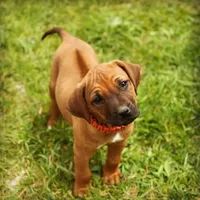 processed/307b7592-3b97-4b17-9f47-60993d6c32fd/facility/cd7dd907-ff6f-4563-8882-9942fa3c4691