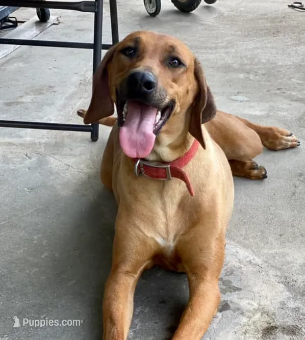 processed/307b7592-3b97-4b17-9f47-60993d6c32fd/listing/1b9aa634-64a0-4a2f-ac64-aeb23b2e1f00/11a707be-0dab-497a-9f85-31adb0af4b03