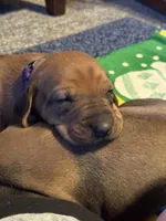 processed/307b7592-3b97-4b17-9f47-60993d6c32fd/listing/1b9aa634-64a0-4a2f-ac64-aeb23b2e1f00/6ae5cd2b-4c56-4c81-91bc-4514a65d2256