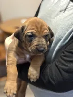 processed/307b7592-3b97-4b17-9f47-60993d6c32fd/listing/1b9aa634-64a0-4a2f-ac64-aeb23b2e1f00/80ffc2a2-5466-46d2-b1d0-229dcc1bd156