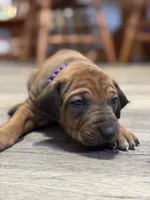 processed/307b7592-3b97-4b17-9f47-60993d6c32fd/listing/1b9aa634-64a0-4a2f-ac64-aeb23b2e1f00/b5ed73cd-cad1-49fd-8b74-e5462cbf7dfa