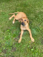 processed/307b7592-3b97-4b17-9f47-60993d6c32fd/listing/1b9aa634-64a0-4a2f-ac64-aeb23b2e1f00/c7982ffa-813d-440c-ad33-4b8eab9dd7b9