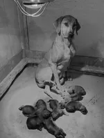 processed/307b7592-3b97-4b17-9f47-60993d6c32fd/listing/1b9aa634-64a0-4a2f-ac64-aeb23b2e1f00/ccacf11e-2372-40bc-a0c5-0c631d190576