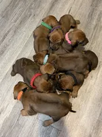 processed/307b7592-3b97-4b17-9f47-60993d6c32fd/listing/406b18f2-9286-4c8c-aa1c-faeb48f8f195/14e2f2e3-add7-4732-baad-0a325241ae2a