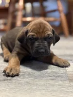 processed/307b7592-3b97-4b17-9f47-60993d6c32fd/listing/406b18f2-9286-4c8c-aa1c-faeb48f8f195/3ccff202-a698-4cdb-b32e-7dad5a799cc9