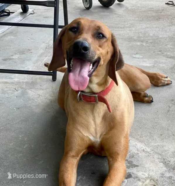 processed/307b7592-3b97-4b17-9f47-60993d6c32fd/listing/406b18f2-9286-4c8c-aa1c-faeb48f8f195/4bc1a582-2ea9-4211-9b16-1ca2b015f552