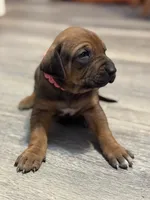 processed/307b7592-3b97-4b17-9f47-60993d6c32fd/listing/44a97a23-ca0b-4855-8f6a-0f8732c67c97/68d11406-3d85-479b-bc05-2dfcf700cfbe