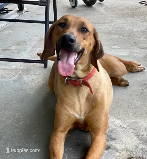 processed/307b7592-3b97-4b17-9f47-60993d6c32fd/listing/44a97a23-ca0b-4855-8f6a-0f8732c67c97/9b2186d3-92be-4cd3-8bee-aee5a00d0b00