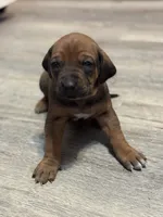 processed/307b7592-3b97-4b17-9f47-60993d6c32fd/listing/44a97a23-ca0b-4855-8f6a-0f8732c67c97/e44723fd-7298-4796-80c0-69f937e5e2f7