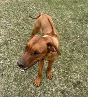 processed/307b7592-3b97-4b17-9f47-60993d6c32fd/listing/65e314af-b8cb-4354-8d63-f8b95df390e4/475dcb89-1452-40f9-bb99-6ce6f85916ca