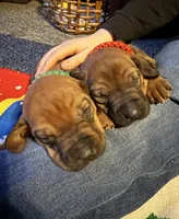 processed/307b7592-3b97-4b17-9f47-60993d6c32fd/listing/65e314af-b8cb-4354-8d63-f8b95df390e4/efa27f3d-72e5-488e-ba97-570f2aca190a