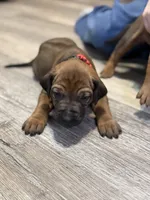 processed/307b7592-3b97-4b17-9f47-60993d6c32fd/listing/ba08bed5-387d-41d9-87a7-f1bf130361db/3846c53e-5b96-42f1-a615-a6c88122934d