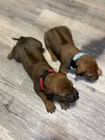 processed/307b7592-3b97-4b17-9f47-60993d6c32fd/listing/ba08bed5-387d-41d9-87a7-f1bf130361db/84757016-7b53-4e61-90cb-9f1cbedc3812