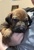 processed/307b7592-3b97-4b17-9f47-60993d6c32fd/listing/ba08bed5-387d-41d9-87a7-f1bf130361db/9edb1126-22ac-43bd-8f3a-29a8d58a82f4