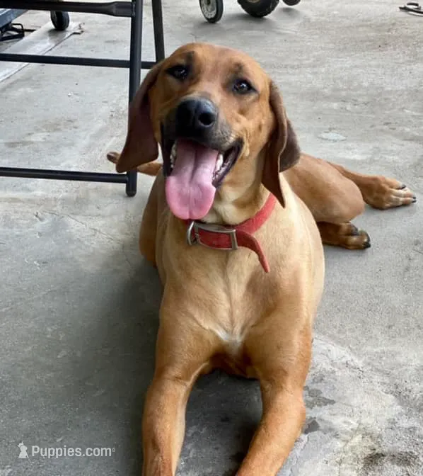 processed/307b7592-3b97-4b17-9f47-60993d6c32fd/listing/ba08bed5-387d-41d9-87a7-f1bf130361db/a2baf57c-2493-4876-a750-6b01dae56a22