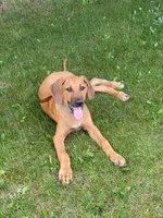 processed/307b7592-3b97-4b17-9f47-60993d6c32fd/listing/ba08bed5-387d-41d9-87a7-f1bf130361db/ad1cfcd4-b3df-4e5e-a88f-78961f1bbd47