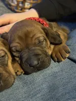 processed/307b7592-3b97-4b17-9f47-60993d6c32fd/listing/ba08bed5-387d-41d9-87a7-f1bf130361db/c49e74e5-3991-4eff-847a-c627bb27d3dd