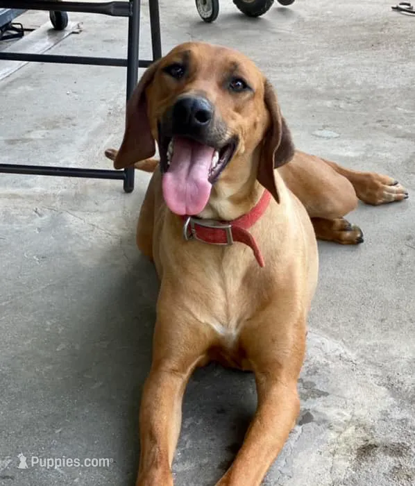 processed/307b7592-3b97-4b17-9f47-60993d6c32fd/listing/e12a74aa-8d41-4650-bbbd-9f5c9b6e48aa/3f251124-e1e6-4b51-a2c1-78aa11e67328